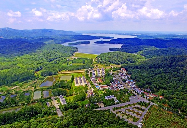 黄栗树村鸟瞰图.jpg