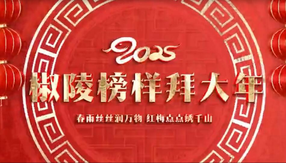 2025椒陵榜样拜大年（中）