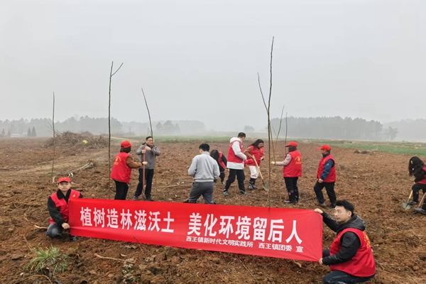 西王镇：植一抹新绿 迎一缕春光